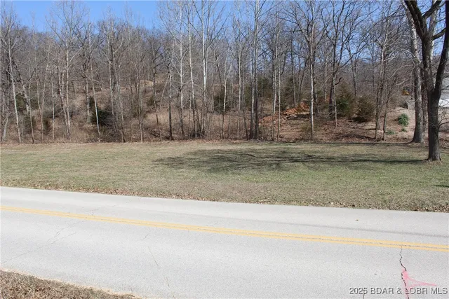 $26,000 | Lot B Lot B Tree Haven, Gravois Mills, MO 65037
