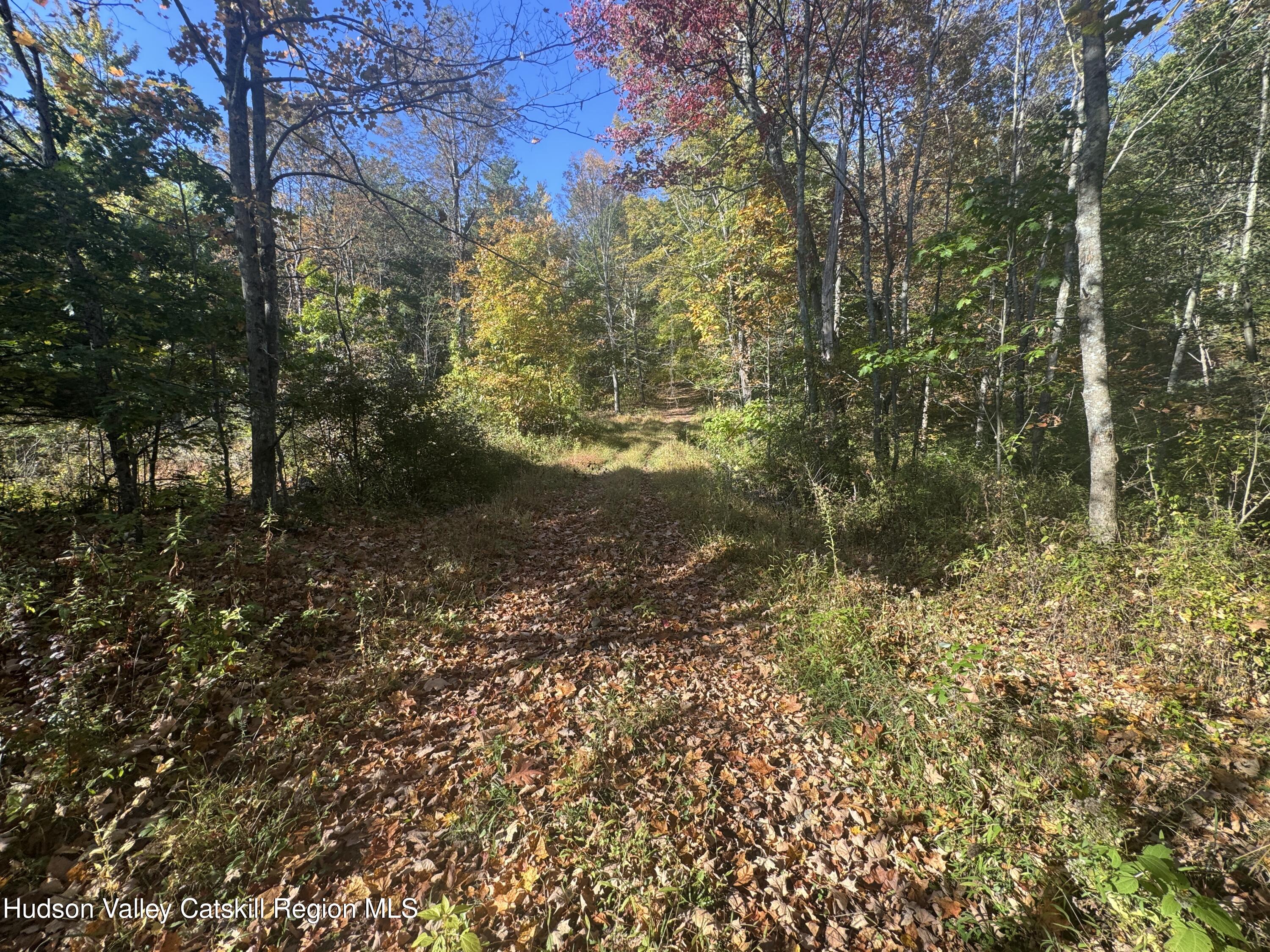 Lot 2 Snydertown Road Craryville, NY 12521 - Photo 2 of 9 IMG_8777