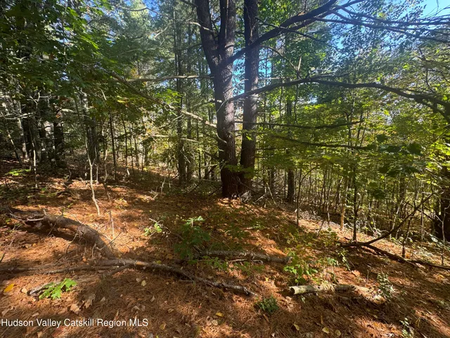 $125,000 | Lot 2 Snydertown Road, Craryville, NY 12521