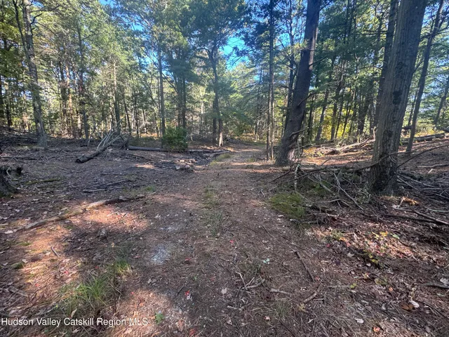 $125,000 | Lot 2 Snydertown Road, Craryville, NY 12521