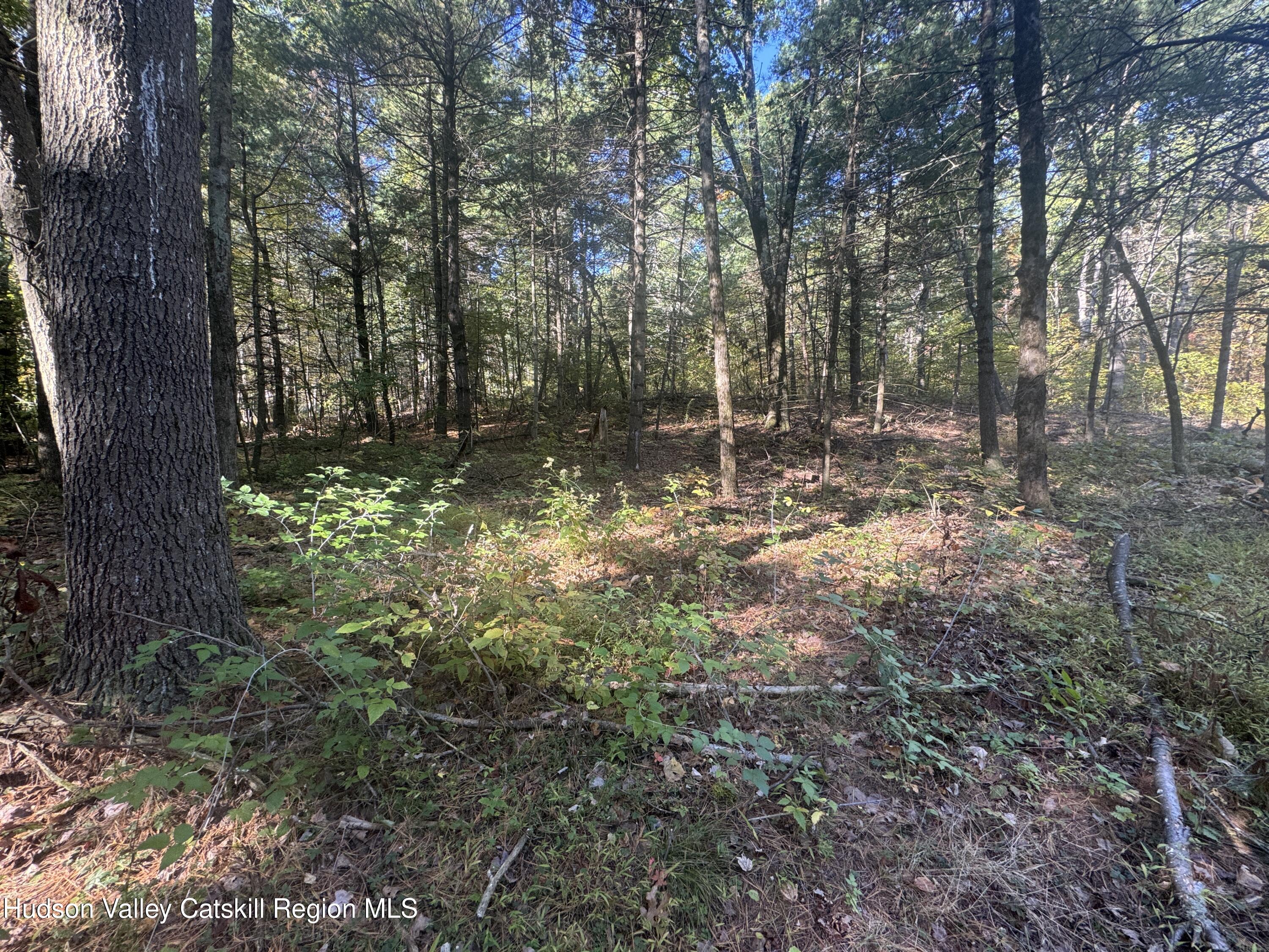 Lot 2 Snydertown Road Craryville, NY 12521 - Photo 7 of 9 IMG_8788