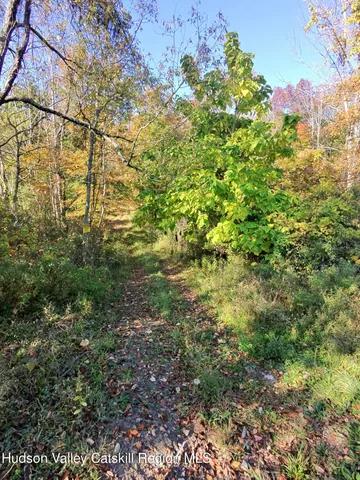 $125,000 | Lot 2 Snydertown Road, Craryville, NY 12521