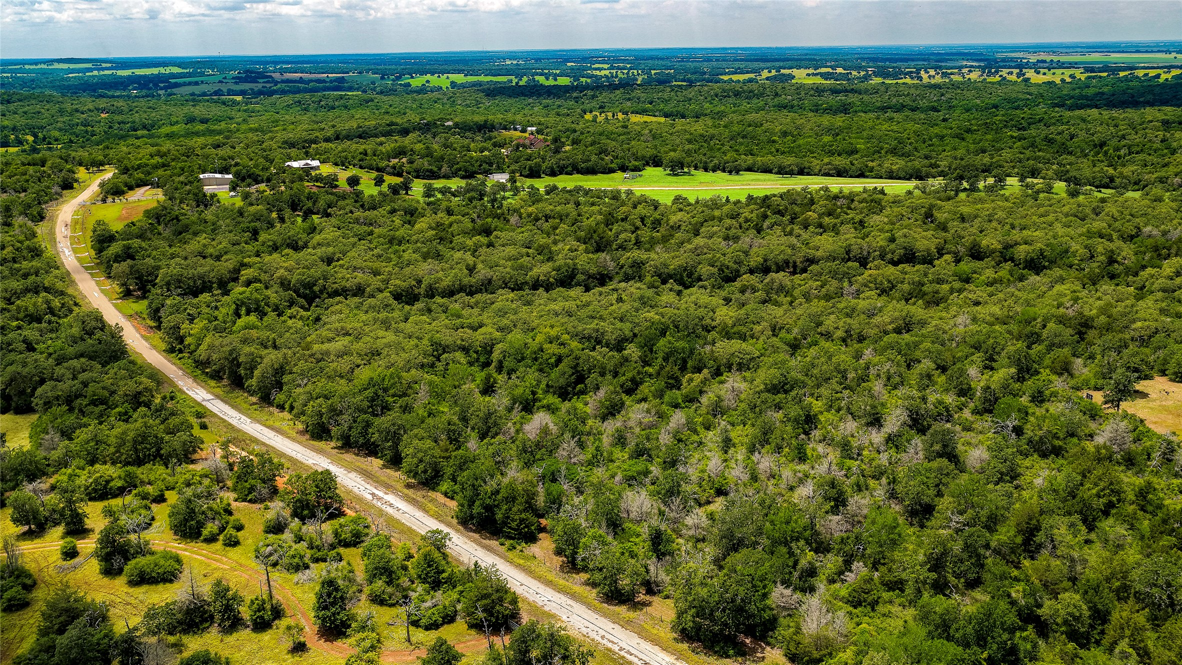 1470 22 Hills Road Gause, TX 77857 - Photo 11 of 35 Vast green expanse offers secluded living with plentiful trees and a winding private road.