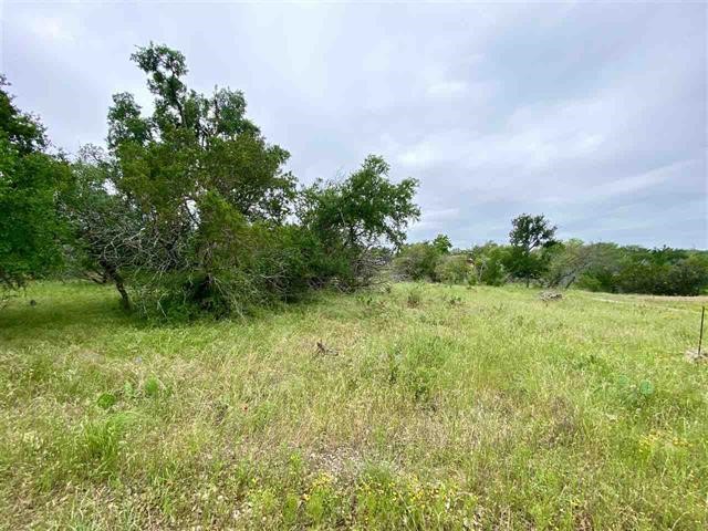 Tbd Hill Street Burnet, TX 78611 - Photo 1 of 1