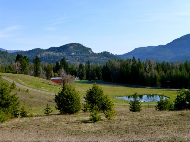 Lot A Greenhouse Road Ione, WA 99139 - Photo 7 of 17