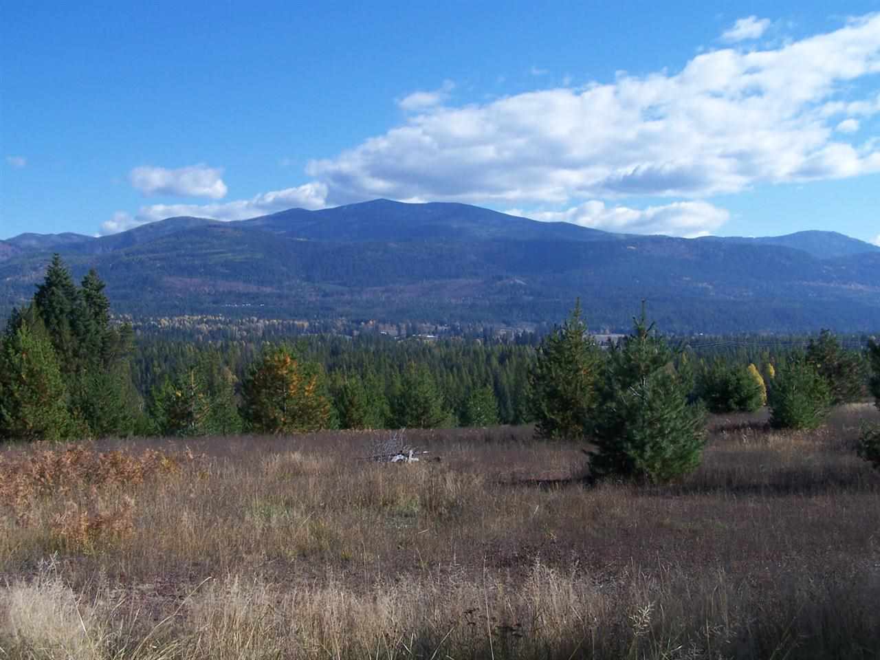Lot A Greenhouse Road Ione, WA 99139 - Photo 8 of 17