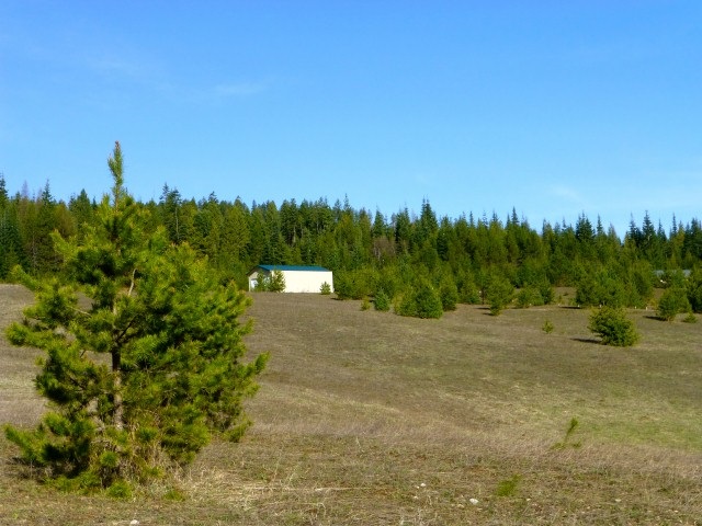 Lot A Greenhouse Road Ione, WA 99139 - Photo 10 of 17