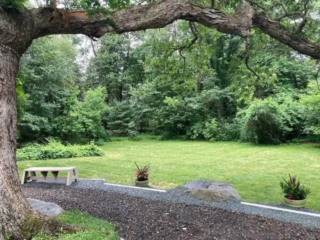 a view of a garden with a tree