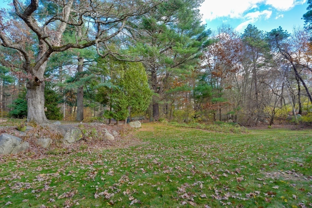 22 Granite Street Medway, MA 02053 - Photo 29 of 30 a view of a yard with a tree