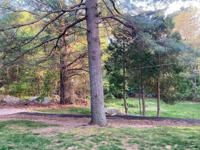 a backyard of a house with lots of green space
