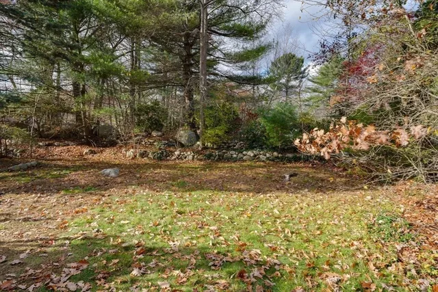 a view of a yard with plants and trees