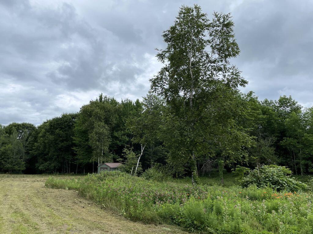 0 Lesperance Road Albion, ME 04910 - Photo 19 of 43 HXOYE_RQ - Copy