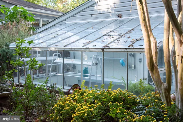 a backyard of a house with table and chairs potted plants and large tree