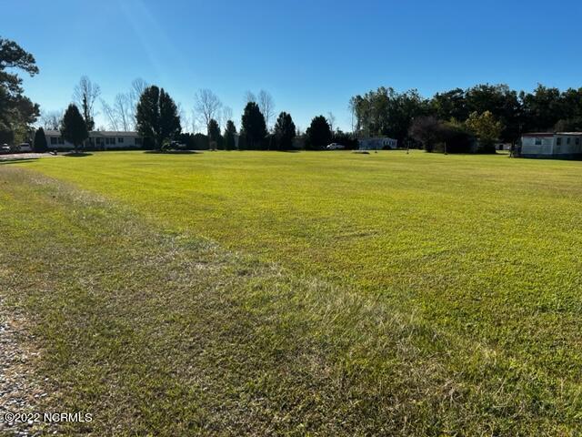 Tbd Quebec Road Harrellsville, NC 27942 - Photo 5 of 9 Wonderful Grass