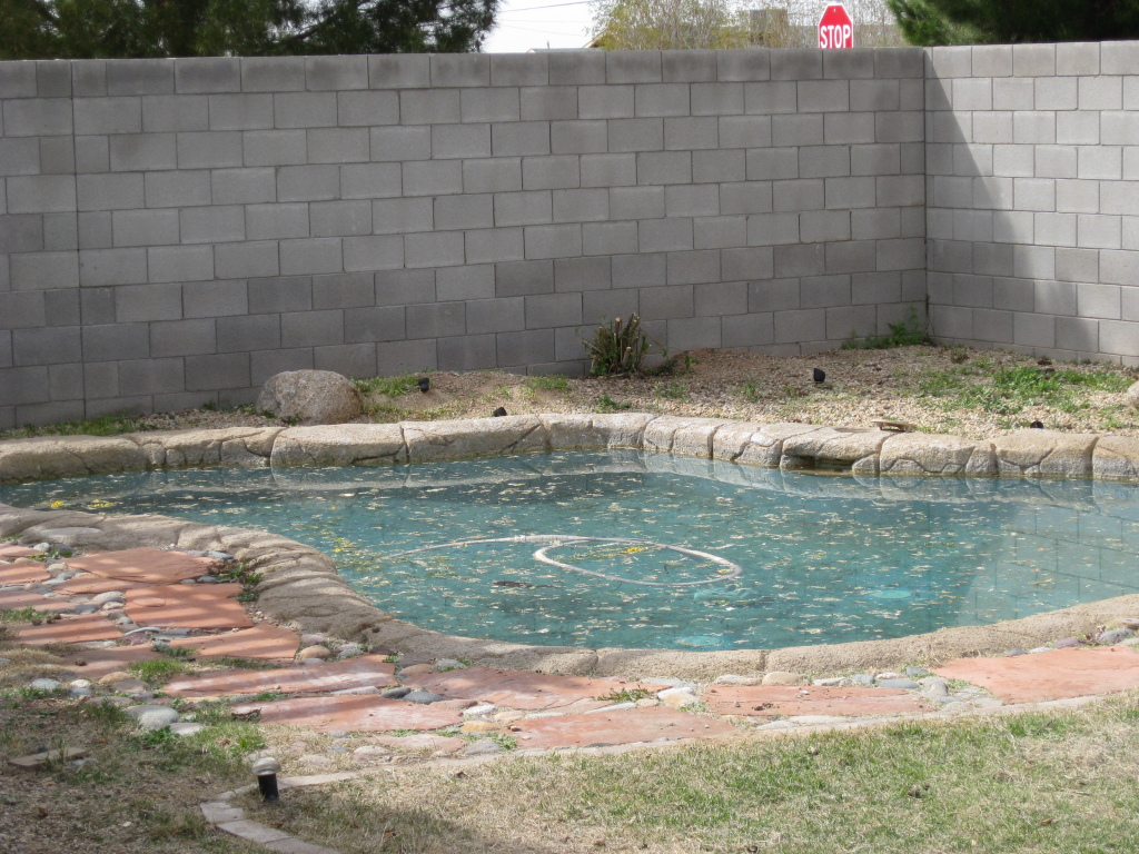 1204 Grenadine Road Phoenix, AZ 85040 - Photo 11 of 12 Pool