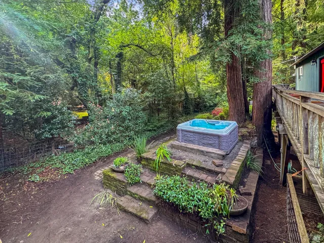 a view of a garden with plants and trees