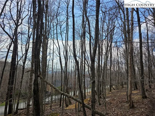 $29,999 | 109 Hawthorne Road, Beech Mountain, NC 28604