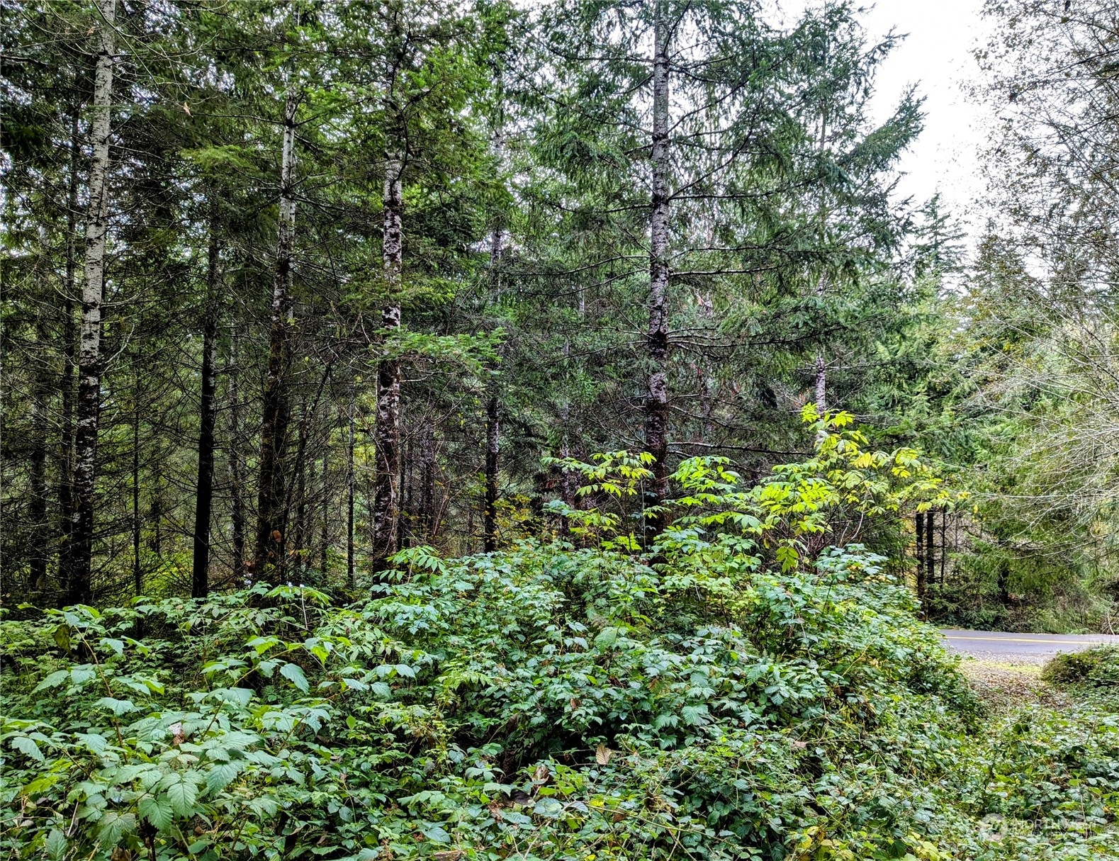 3154 Coal Creek Road Longview, WA 98632 - Photo 14 of 15 Gallery Image 14