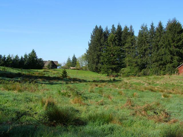 Tl#605 Latimer Road North Tillamook, OR 97141 - Photo 3 of 28 P5021228