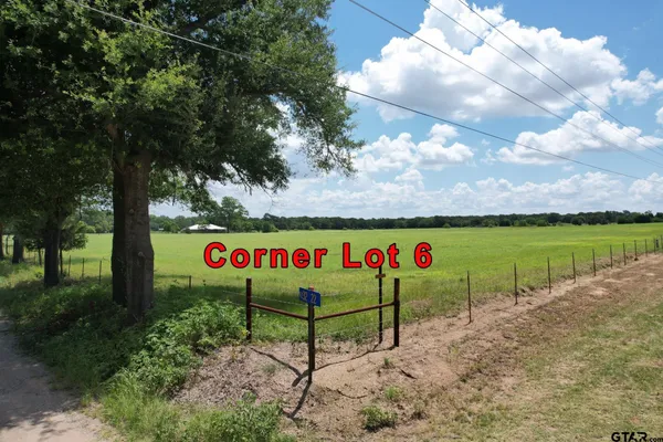 $60,000 | Lot 6 Vz Cr, Wills Point, TX 75169