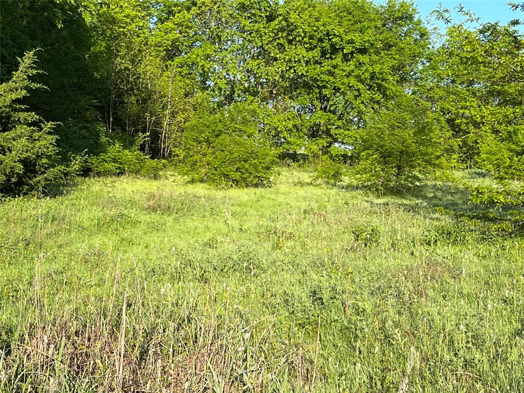0 Block Road Gunter, TX 75058 - Photo 4 of 6