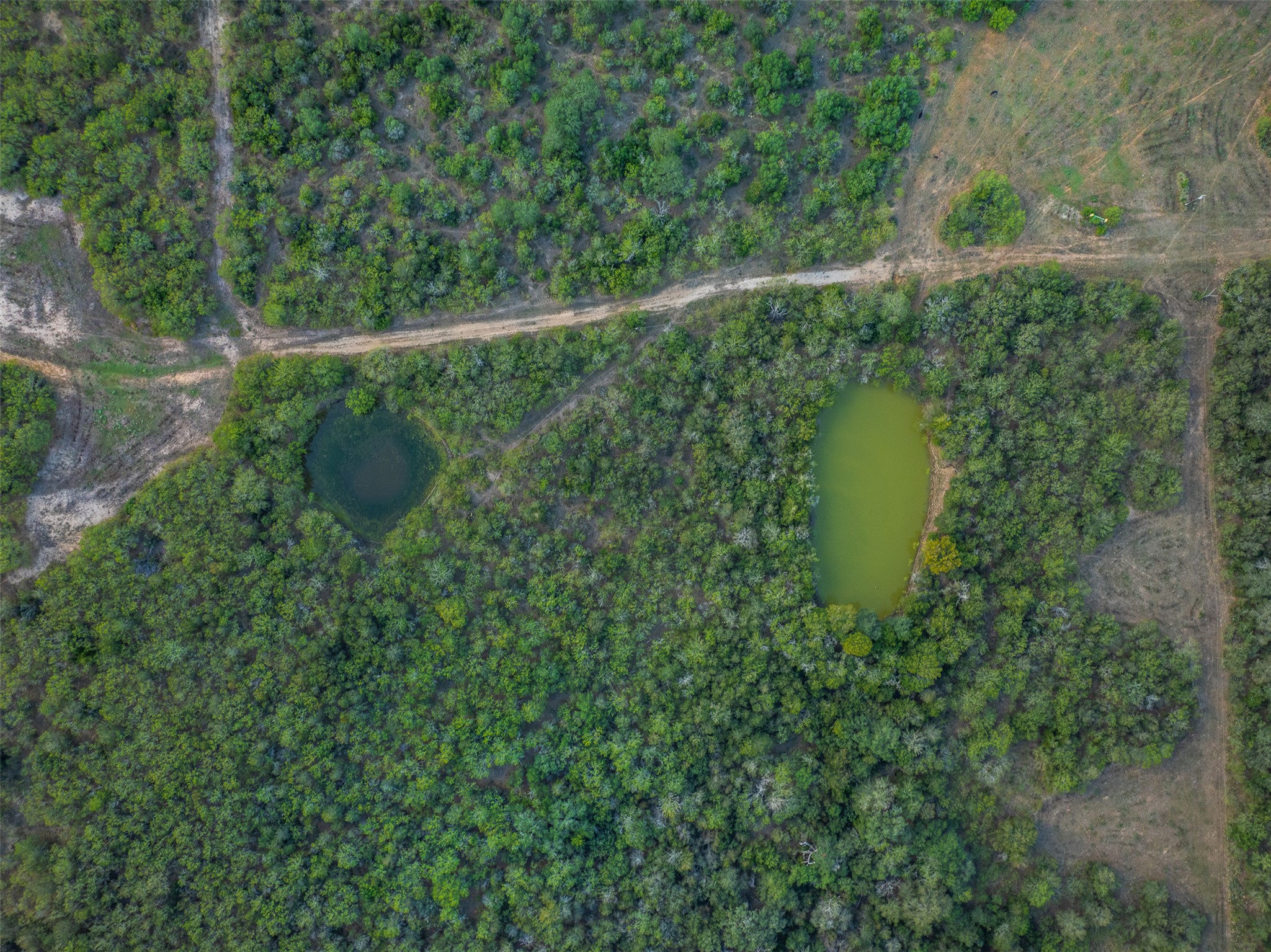 399 Seals Creek Road Lockhart, TX 78644 - Photo 19 of 40 Aerial view of property and surrounding area featuring a large body of water