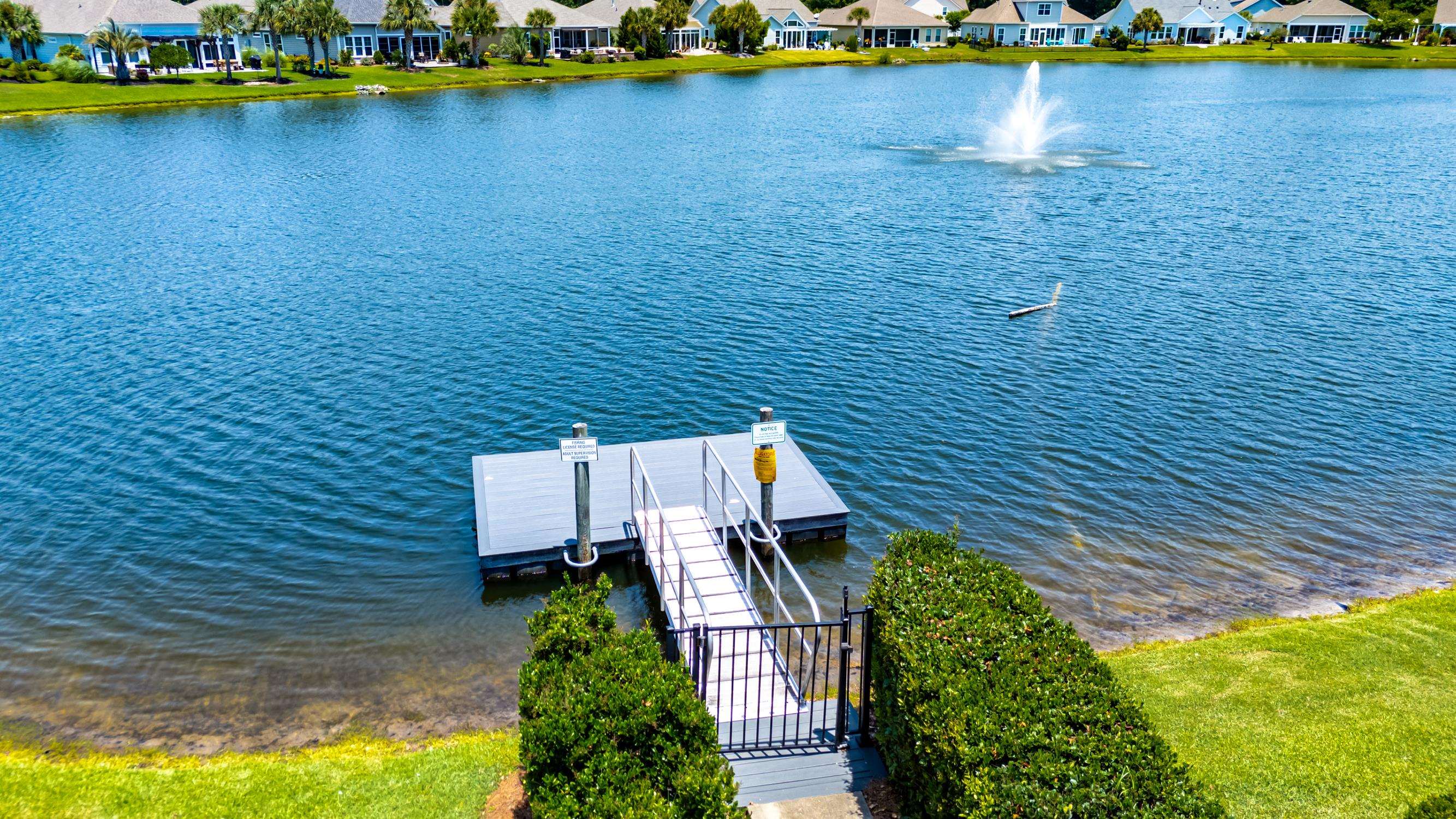441 Hyacinth Loop Murrells Inlet, SC 29576 - Photo 50 of 74