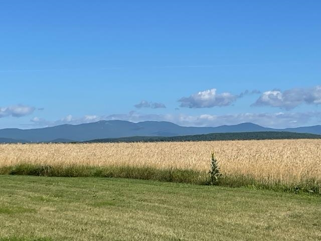 241 School Road Barre Town, VT 05641 - Photo 5 of 8
