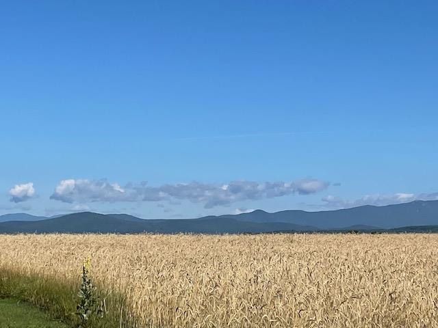 241 School Road Barre Town, VT 05641 - Photo 7 of 8