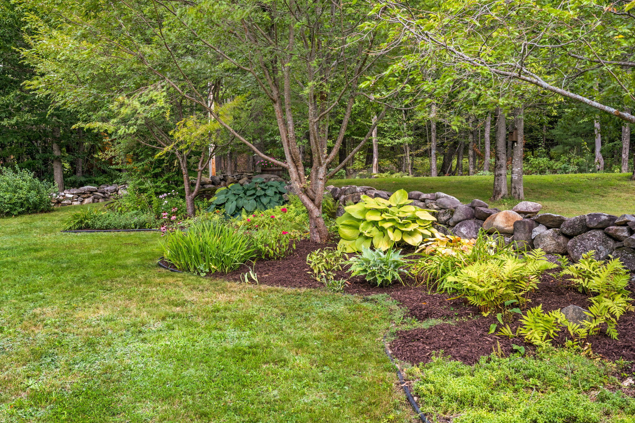 88 Brown Road Mercer, ME 04957 - Photo 9 of 37 9-web-or-mls-88-brown-rd