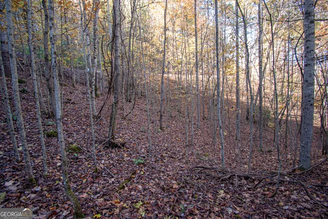$19,900 | Lot 66 Choctaw Rdg Trail, Murphy, NC 28906
