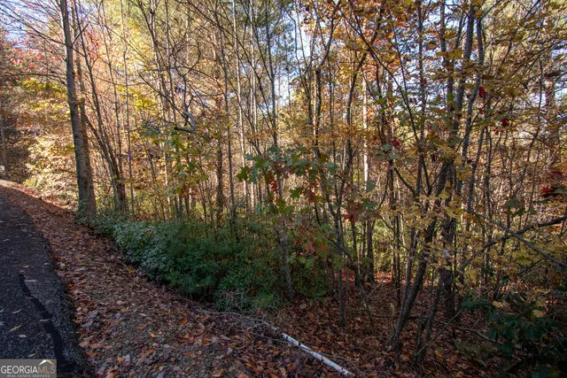 $19,900 | Lot 66 Choctaw Rdg Trail, Murphy, NC 28906