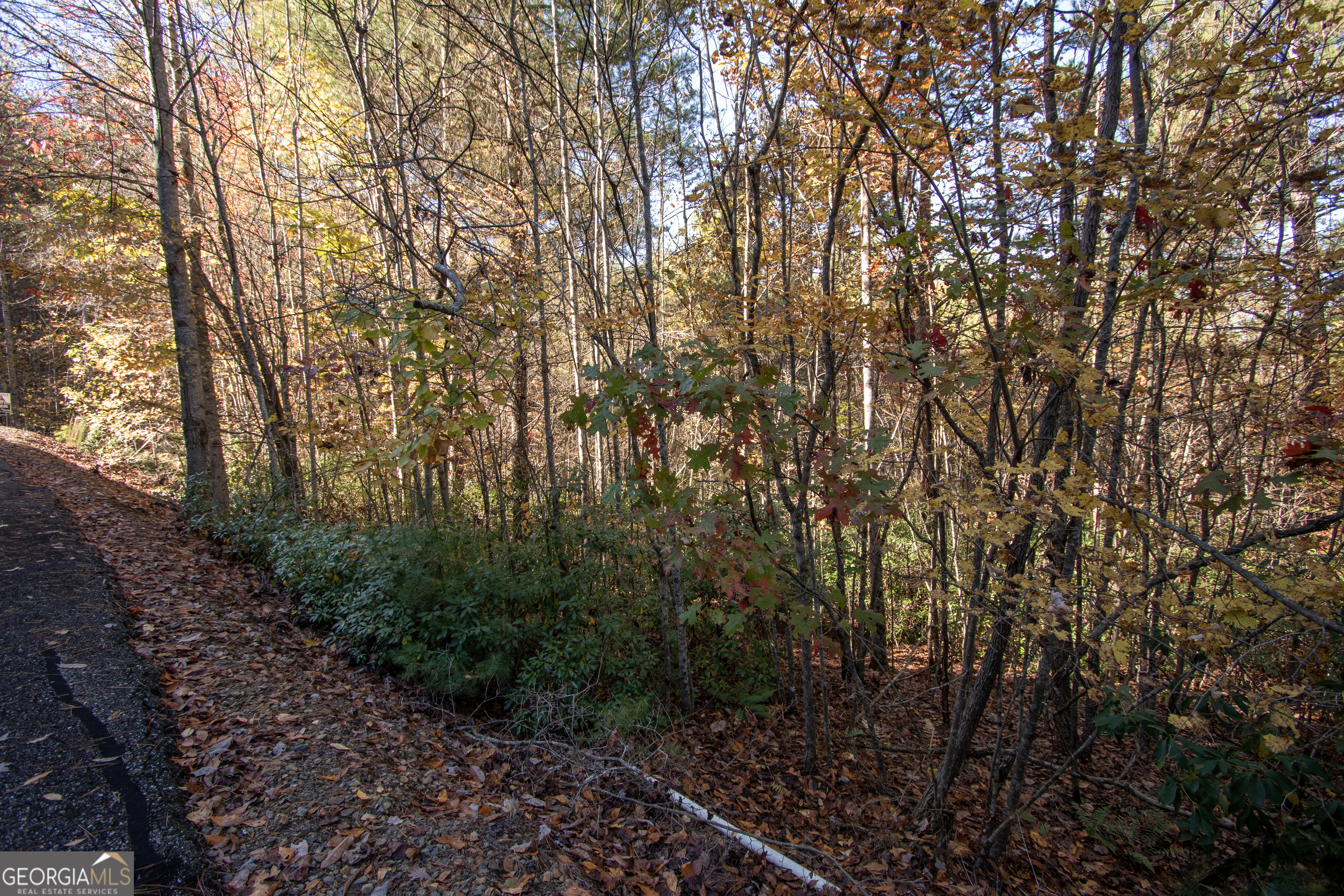 Lot 66 Choctaw Rdg Trail Murphy, NC 28906 - Photo 11 of 11