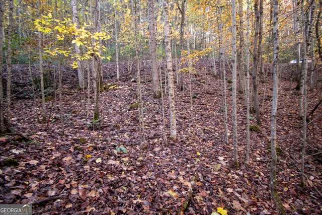 $19,900 | Lot 66 Choctaw Rdg Trail, Murphy, NC 28906
