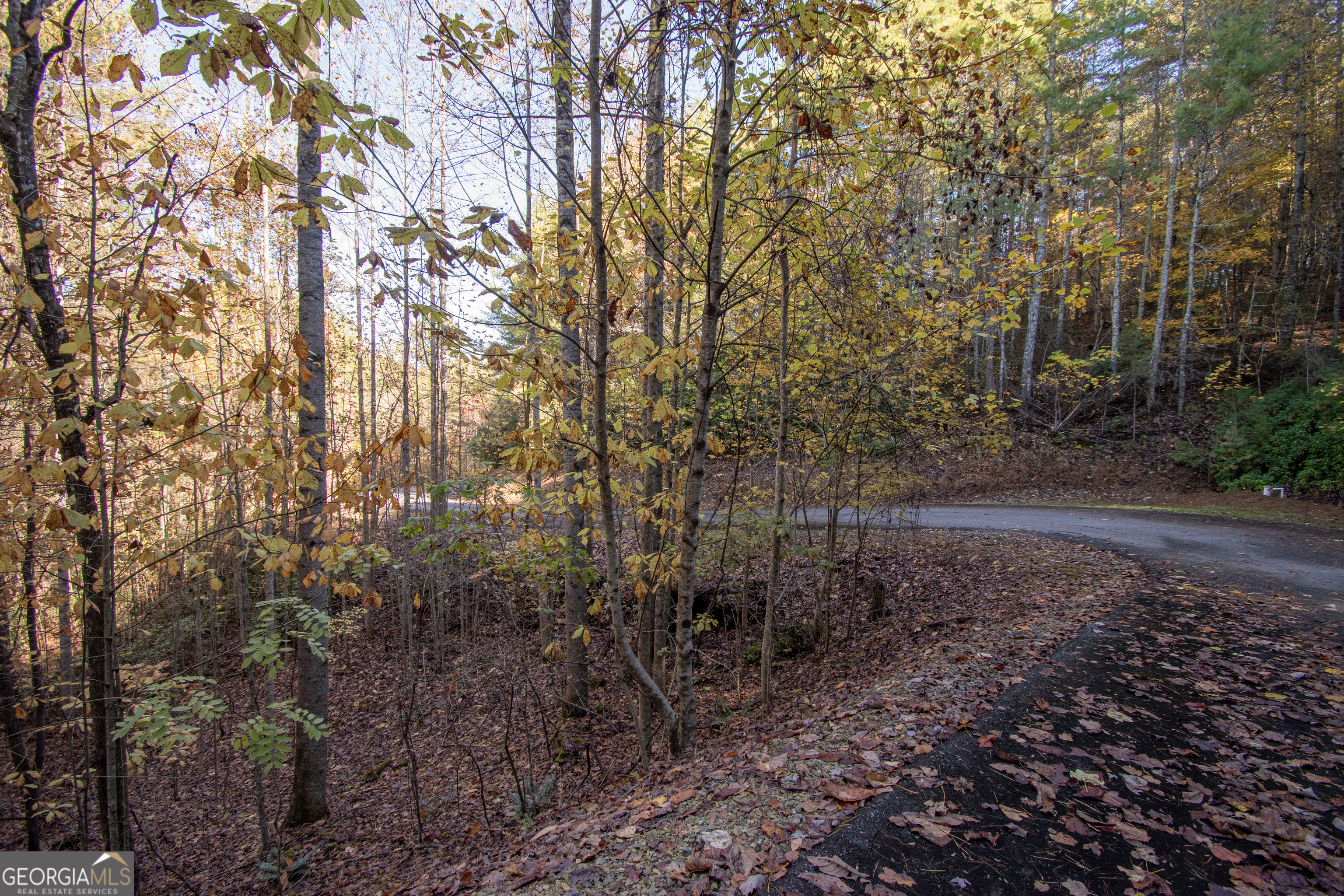 Lot 66 Choctaw Rdg Trail Murphy, NC 28906 - Photo 3 of 11