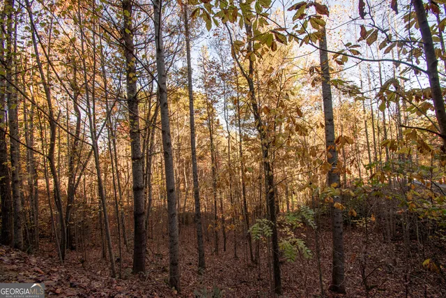 $19,900 | Lot 66 Choctaw Rdg Trail, Murphy, NC 28906