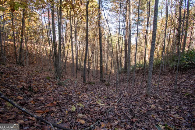 $19,900 | Lot 66 Choctaw Rdg Trail, Murphy, NC 28906
