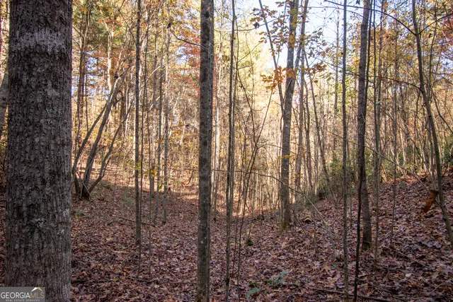$19,900 | Lot 66 Choctaw Rdg Trail, Murphy, NC 28906