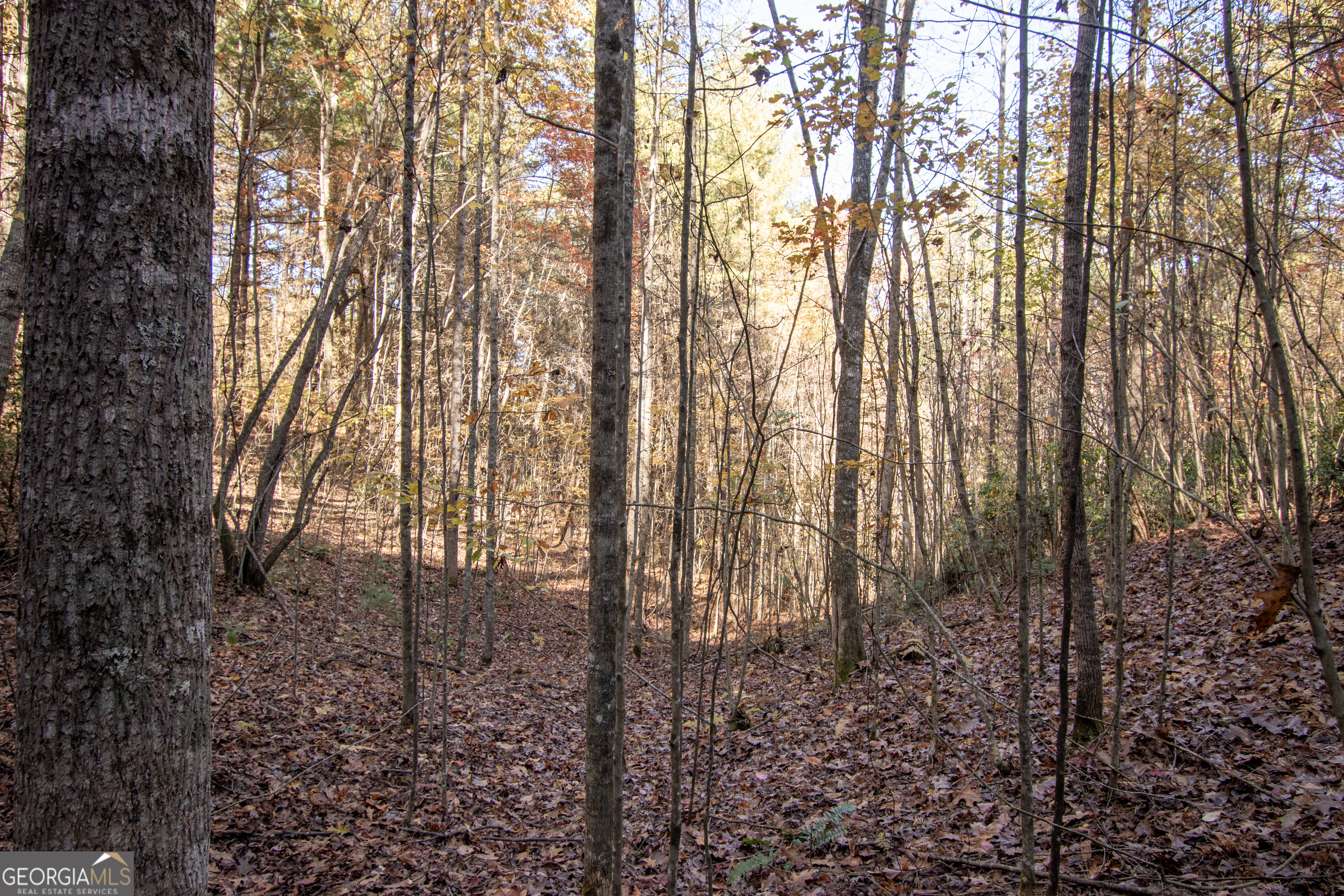 Lot 66 Choctaw Rdg Trail Murphy, NC 28906 - Photo 7 of 11