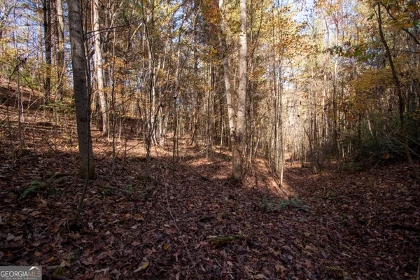 $19,900 | Lot 66 Choctaw Rdg Trail, Murphy, NC 28906