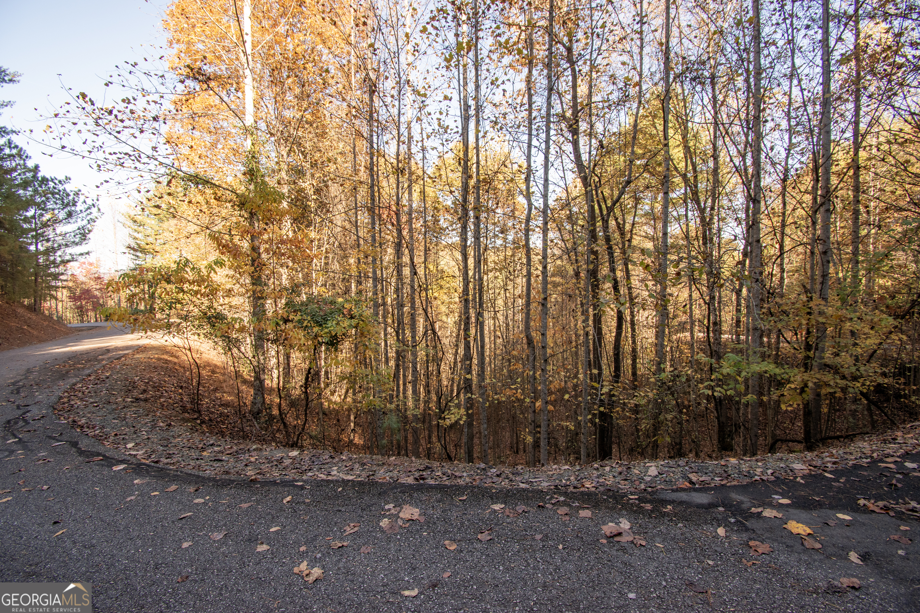 Lot 66 Choctaw Rdg Trail Murphy, NC 28906 - Photo 10 of 11