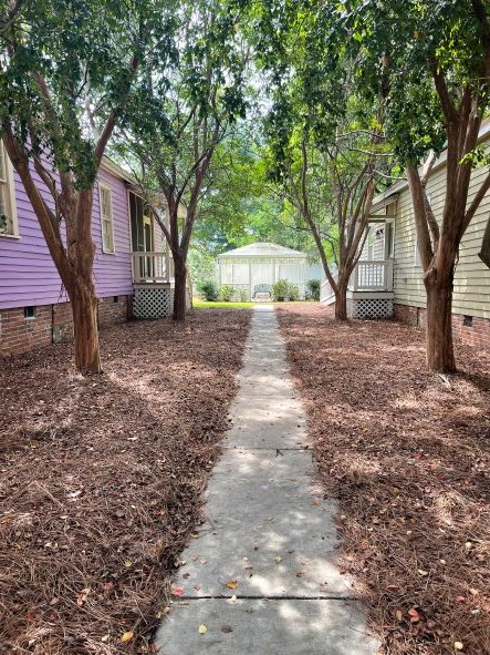 212 West 7th Street Columbus, GA 31901 - Photo 9 of 20 a large tree in front of a white house