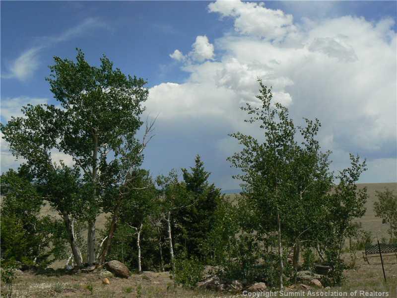 710 Antero Road Hartsel, CO 80449 - Photo 8 of 10 Gallery Image 8
