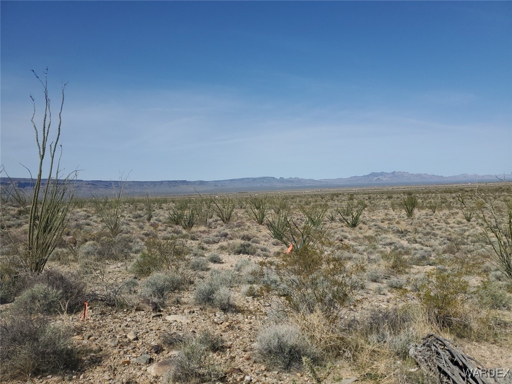 Lot 5 South Aripine Road Yucca, AZ 86438 - Photo 12 of 22 View