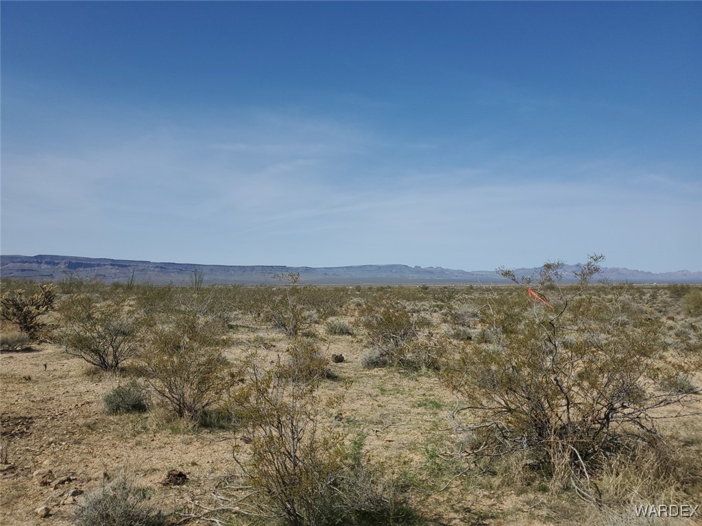 Lot 5 South Aripine Road Yucca, AZ 86438 - Photo 21 of 22 View