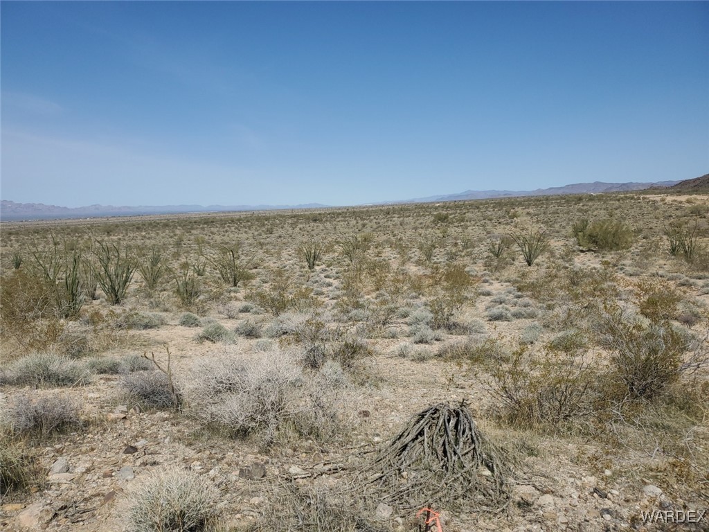 Lot 5 South Aripine Road Yucca, AZ 86438 - Photo 4 of 22 View