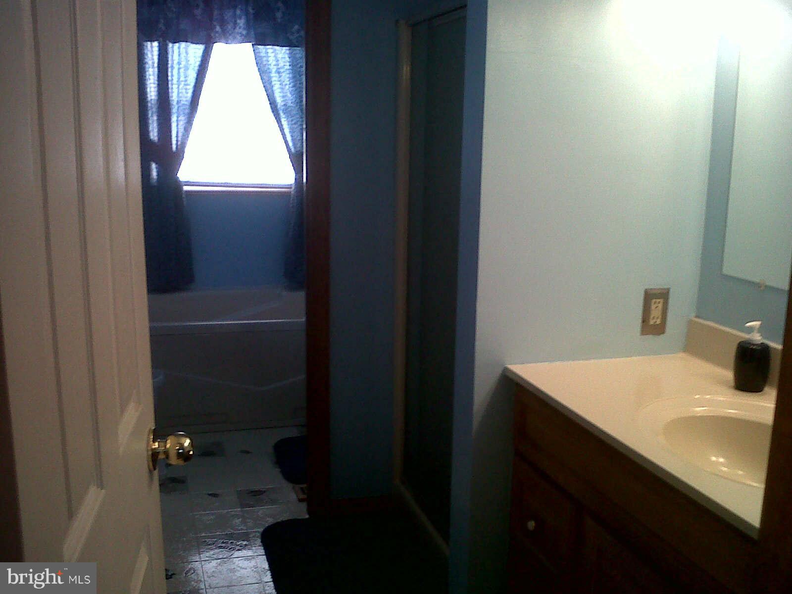 68 Anna Speakman Road Elkton, MD 21921 - Photo 11 of 19 Sep Tub and shower