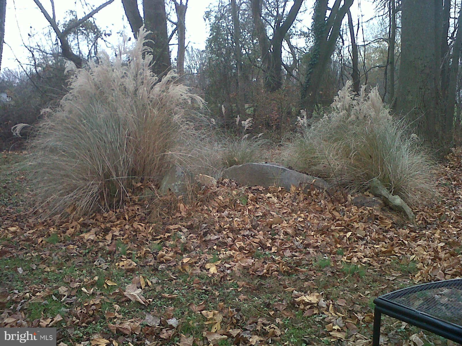 68 Anna Speakman Road Elkton, MD 21921 - Photo 19 of 19 Landscaping