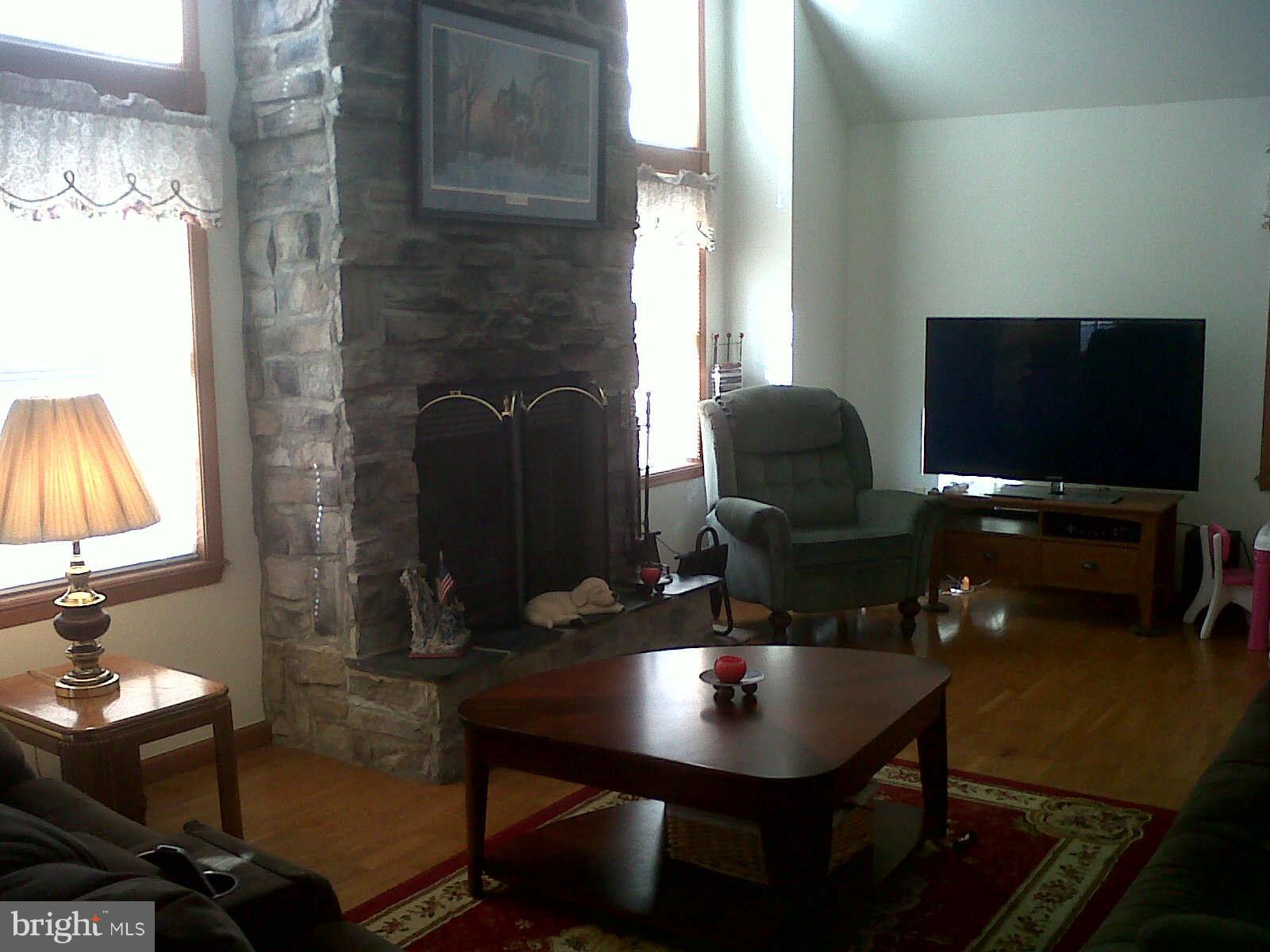 68 Anna Speakman Road Elkton, MD 21921 - Photo 5 of 19 Living Room with floor to ceiling stone fireplace