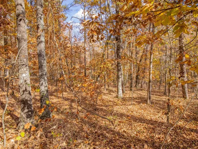 $45,000 | 0 Galway Drive Northeast, Kingston, GA 30145